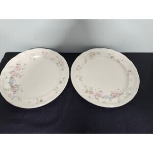Pfaltzgraff Tea Rose Dinner Plates